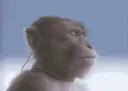 :Singe_mp3: