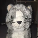 ChatFilsDePute