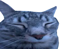 :cs_honte: