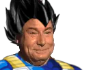 :vegeta_moqueur: