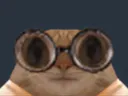 :zoom_lunettes: