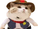 :DaggerKitties: