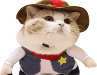 :DaggerKitties: