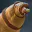 Photo de profil de Davidnovit