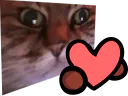 :chat_zoom_amour: