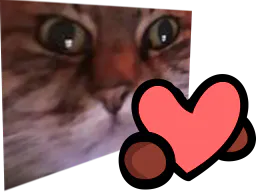 :chat_zoom_amour: