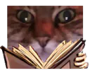 :chatZlivre:
