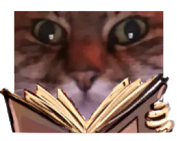 :chatZlivre:
