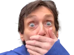 :palmade_oups: