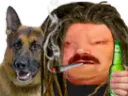 :Berger_allemand_teufeur: