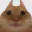 Photo de profil de Effervescence