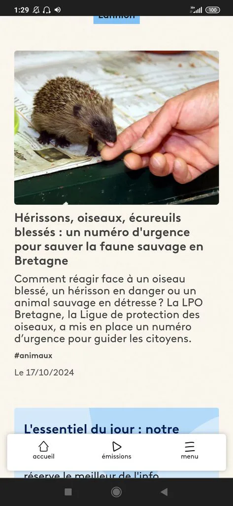 Image