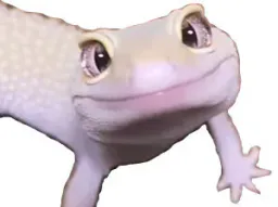 :lezard_mignon: