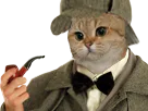 :Chat_detective:
