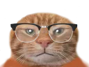 :chatlunette1:
