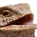 :golemvelo:
