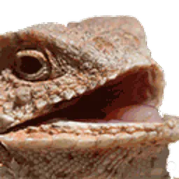 :golemvelo:
