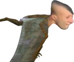 :pteralgerien: