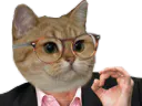 :chat_debat: