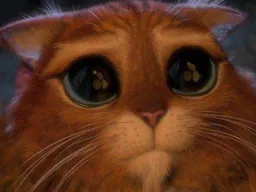 :Chat_copain_shrek: