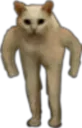 :ChatHumain: