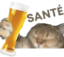 :Chat_alcool: