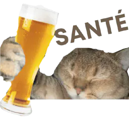 :Chat_alcool: