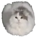 :ChatRond: