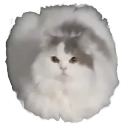:ChatRond: