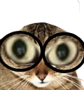 :Chat_de_Souvarine: