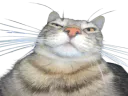 :CS_Selfie: