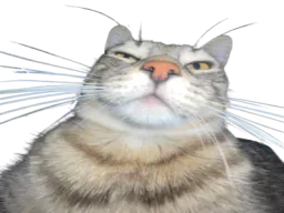:CS_Selfie: