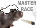 :master_rat: