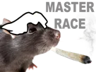 :master_rat: