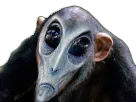 :singe_alien: