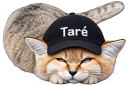 :Chat_desert_tare: