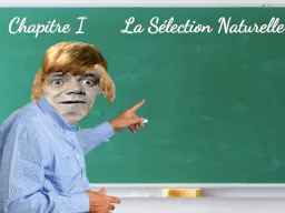 :Selection_Naturel_chien_bourdon: