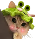 :ChatChapeau: