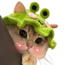 :ChatChapeau: