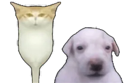 :purerchat: