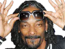:snoop_dogg: