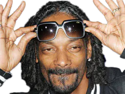 :snoop_dogg: