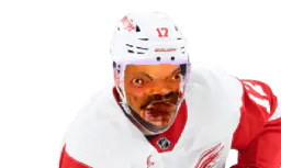 :hockey3: