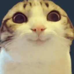 :chat_marrant: