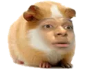 :Mbamster: