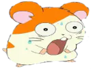 :Hamtaro_choque: