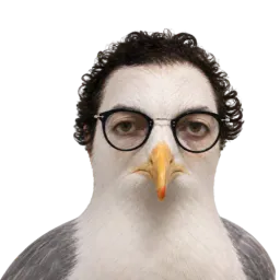 :AlbertoLaMouette: