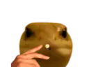 :Lezard1: