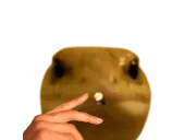 :Lezard1:
