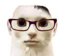 :Chomme2: